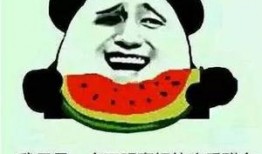 修仙吃瓜群众,吃瓜群众眼中的仙界奇闻