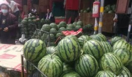 在城市里怎么吃瓜,如何轻松享受夏日吃瓜时光