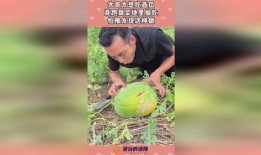 瓜姐瓜哥今日吃瓜