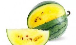 少瓜怎么吃,探索夏日瓜果的多样食法