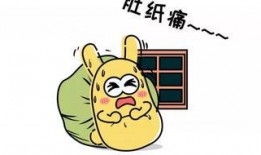 吃瓜群众bot,吃瓜群众bot带你领略明星幕后故事