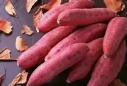 瓜哥带你吃地瓜