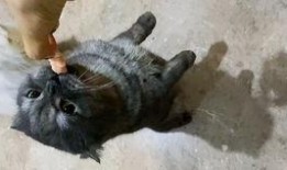 躺着吃瓜照片,揭秘网红躺吃瓜的潮流风尚