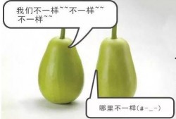 吃瓜不熟中毒,警惕夏日饮食安全