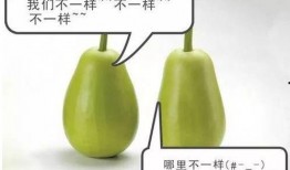 吃瓜不熟中毒,警惕夏日饮食安全