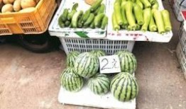 武汉疫情吃瓜视频,揭秘病毒传播背后的真相与反思