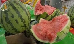 吃瓜青年教程,轻松掌握网络热点的秘诀教程