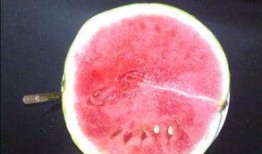 无聊可以吃瓜吗