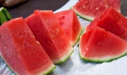 小撒瓜吃西瓜,小撒瓜的甜蜜西瓜之旅