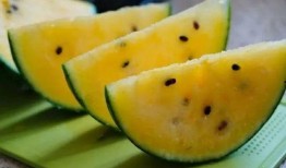 甘肃农民吃瓜,丰收喜悦映衬美好生活