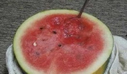 如何登吃瓜网,畅享娱乐资讯盛宴