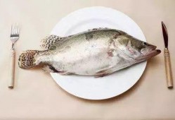 江鱼吃瓜队长,揭秘网络红人的魅力与影响力