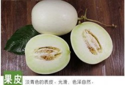 吃瓜网9.9,揭秘娱乐圈最新热点事件