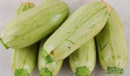 生瓜可以吃么