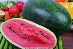 小撒瓜吃西瓜,小撒瓜的甜蜜西瓜之旅