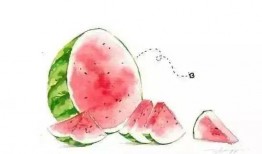 吃瓜青年教程,轻松掌握网络热点的秘诀教程