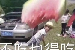 吃瓜小熊猎物,揭秘森林中的神秘事件