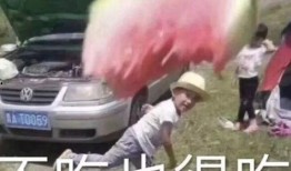 吃瓜小熊猎物,揭秘森林中的神秘事件