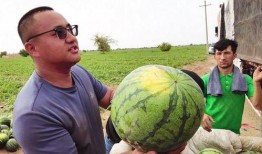 吃瓜西瓜被砸图片,西瓜被砸瞬间，吃瓜群众惊慌失措