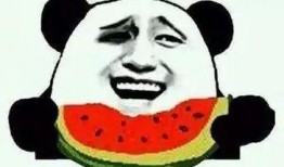 吃瓜群众美图动图,吃瓜群众美图动图大赏