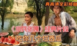 吃瓜视频片段,一场视觉盛宴背后的故事