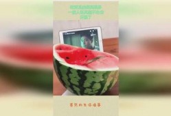 吃瓜也是有境界的,揭秘吃瓜的五大境界