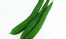 战术性吃瓜,揭秘网络舆论场的智慧博弈