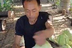 瓜姐瓜哥今日吃瓜