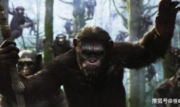 超级猩猩吃瓜视频,揭秘娱乐圈幕后故事