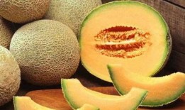 鲤鱼吃哈密瓜,鲤鱼与哈密瓜的奇妙邂逅