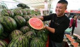 如何登吃瓜网,畅享娱乐资讯盛宴