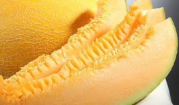 吃黄皮哈密瓜