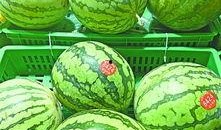 所有人 吃瓜,揭秘娱乐圈的幕后故事