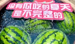 完美吃瓜现场,一场视觉与味蕾的双重盛宴