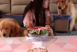 在线吃瓜的颜狗,揭秘娱乐圈颜值担当