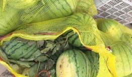 车友吃瓜,揭秘汽车圈那些不为人知的幕后故事