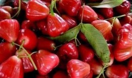 莲雾视频吃瓜网,揭秘热门话题背后的真相与笑料