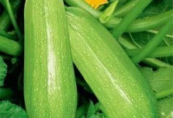 4.28吃瓜,娱乐圈幕后真相曝光