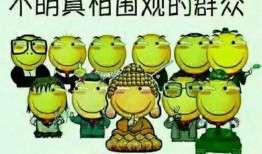 吃瓜群众bot,吃瓜群众bot带你领略明星幕后故事