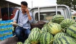 海口疫情吃瓜图,吃瓜图揭示的防疫众生相