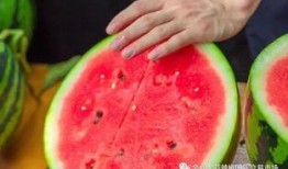 浙江大学吃瓜,揭秘“吃瓜”背后的故事